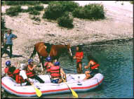 Du cheval au rafting dans le canyon du Verdon